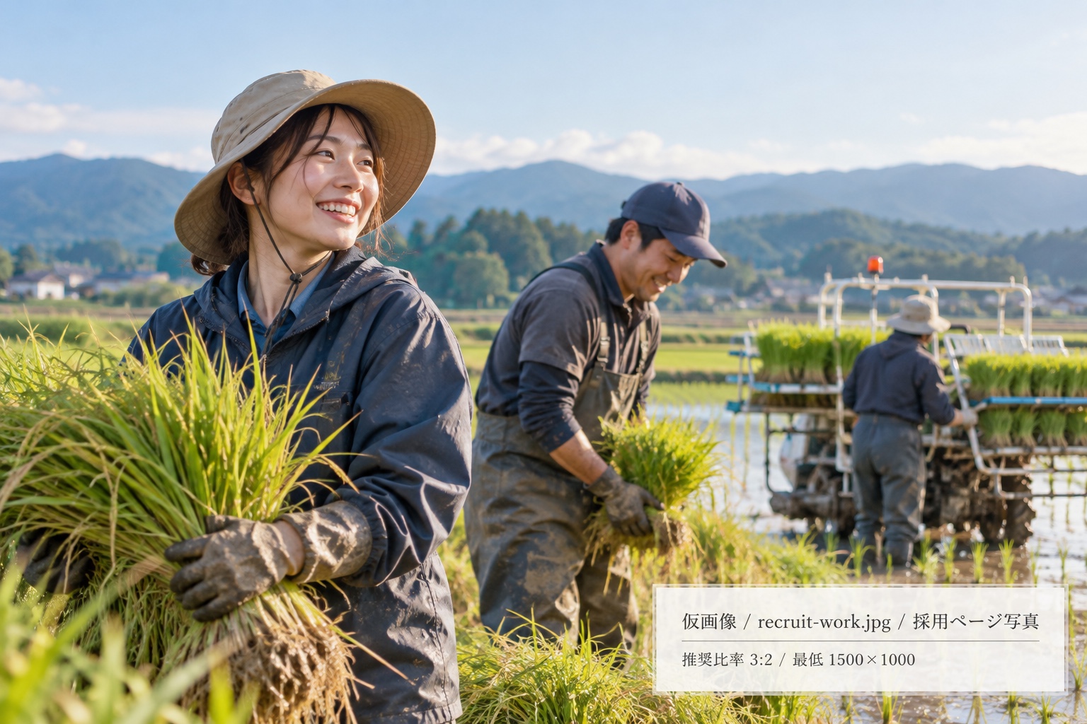 田植えをする人たち（仮画像）